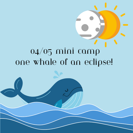 04/05 Mini Camp One Whale of an Eclipse