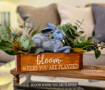 Bloom where you are planted