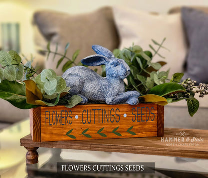 Flowers cuttings seeds